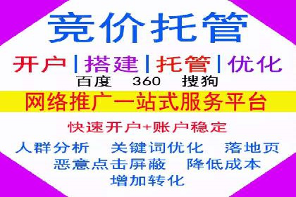 行业领先企业的网络推广与竞价经验